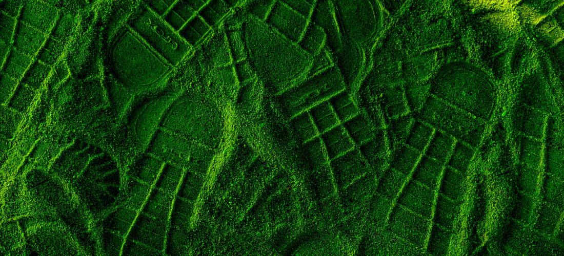 footprints in green sand